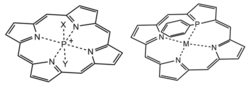 P-Centered Porphyrin Types.png