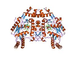 PDB 1dm8 EBI.jpg