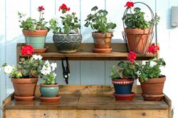 Potting-bench-red-and-white.jpg