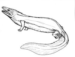 Trematosuchus sobeyi.jpg