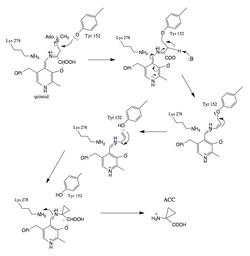 ACC synthesis.png