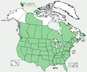 map of North America with most states and provinces shaded green