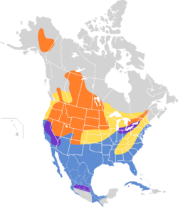 Aythya americana map.svg