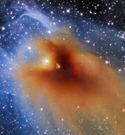 Clouded Vision (potw2246a).jpg