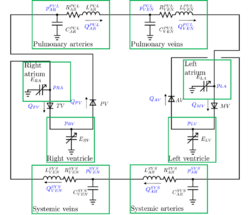 LumpedParameterCardiovascularModel.png