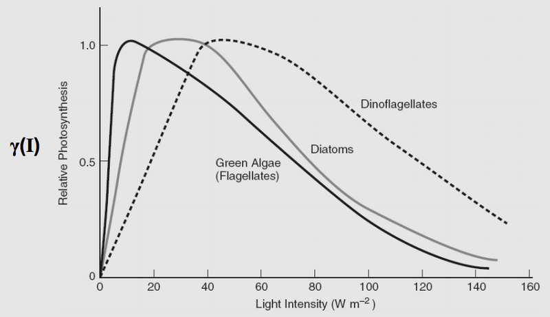 File:Phytoplankton Intensity.png