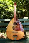 Redhead Mandocello by Nevin Fahs (luthier) - 1.jpg