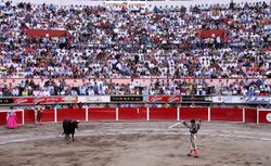 San marcos bullfight 04.jpg