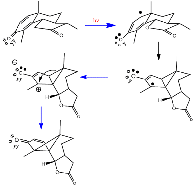 File:Santonin-Stereochemistry.gif
