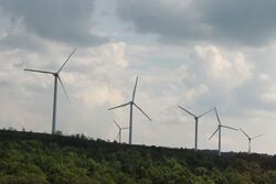 Windmill field.jpg