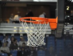 Basketball net.jpg