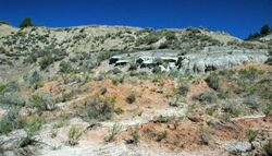 Big Blue Bentonite (Sentinel Butte Formation, Upper Paleocene; Coal Vein Trail, Roosevelt National Park, Little Missouri Badlands, North Dakota, USA) 5.jpg
