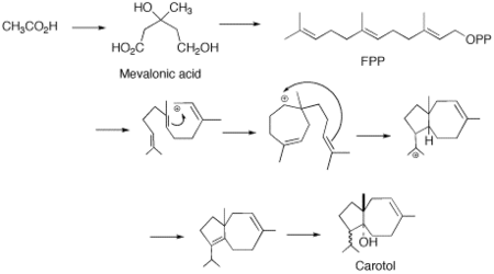 Proposed cyclization of FPP to Carotol.