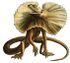 Haeckel Lacertilia (Chlamydosaurus kingii).jpg