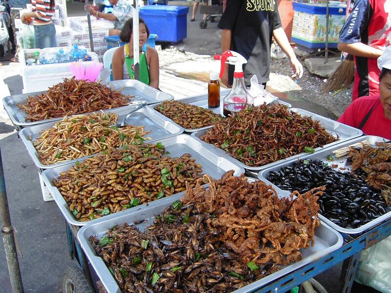 File:Insect food stall.JPG