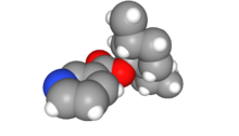 Space-filling model of menthyl nicotinate molecule