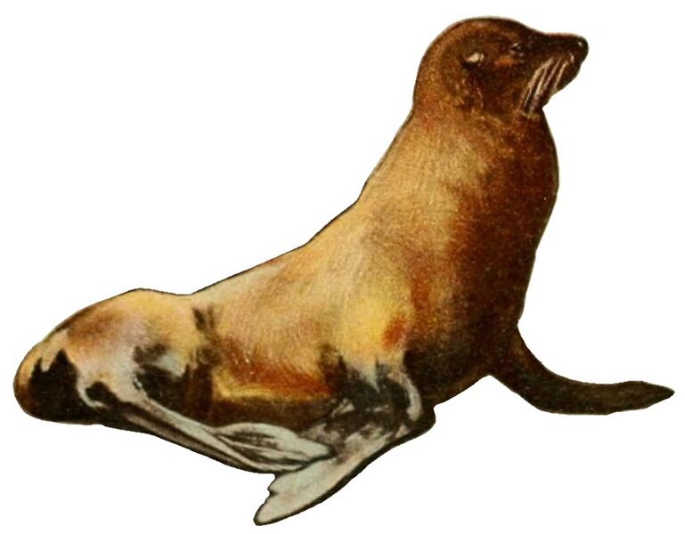 File:NIE 1905 Seal (white background).jpg
