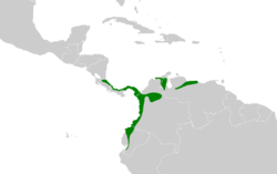 Ornithion brunneicapillus map.svg