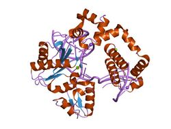 PDB 1tva EBI.jpg