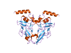 PDB 2iyk EBI.png