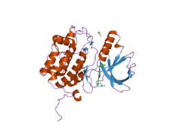 PDB 2owb EBI.png