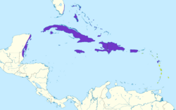 Patagioenas leucocephala map.svg