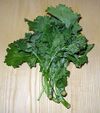 Rapini.jpg