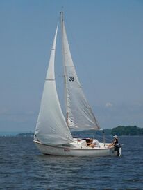 Redline 25 sailboat Amok 1264.jpg