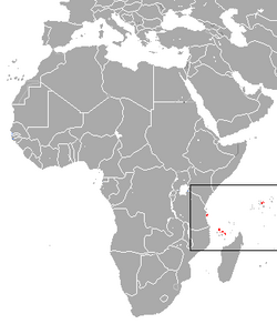 Seychelles Fruit Bat area.png