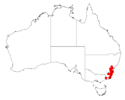 Acacia subtilinervisDistMap875.png