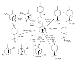 AlphaPinene rxns.png