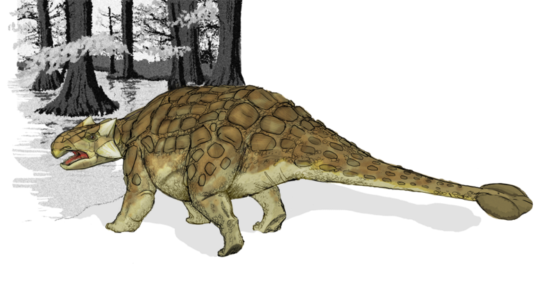 File:Ankylosaurus dinosaur.png