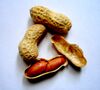 Arachis-hypogaea-(peanuts).jpg