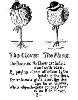 Clover-plover-r-w.wood-how-to-tell-the-birds-from-the-flowers.gif