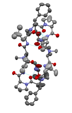 Crystal structure of modified Gramicidin S.png