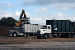 FEMA - 38828 - Trucks being loaded with chipped storm debris.jpg