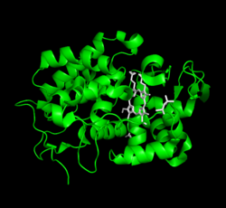 Ferrous cytochrome c peroxidase.png