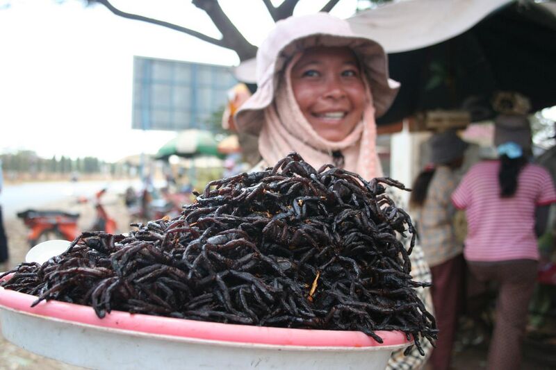 File:Fried spiders Skuon Cambodia.jpg