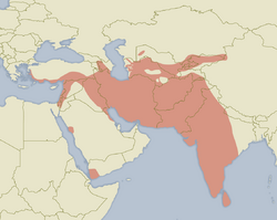 Hystrix indica distribution map.png