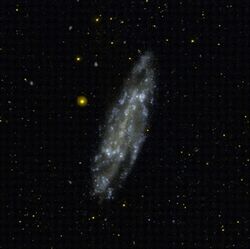 NGC 4236 I FUV g2006.jpg