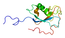 Protein DCX PDB 1mjd.png