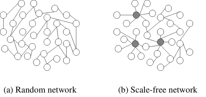 File:Scale-free network sample.png