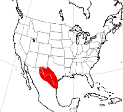 Map showing range of Toromeryx in the Rio Grande valley in North America