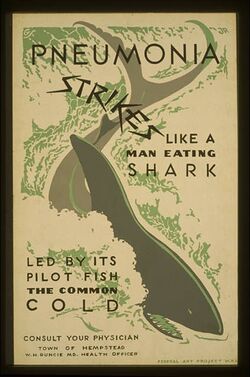 A poster with a shark in the middle of it, which reads "Pneumonia Strikes Like a Man-Eating Shark Led by its Pilot Fish the Common Cold"