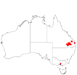 Acacia wardelliiDistMap952.png