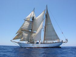 CorwithCramer.jpg