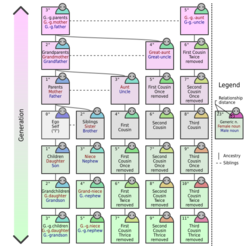 European kinship system en.svg