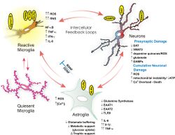 Glial ntox review.jpg