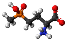 Ball-and-stick model of the glufosinate zwitterion