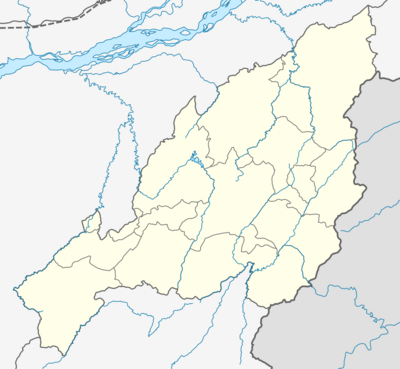 India Nagaland location map.svg